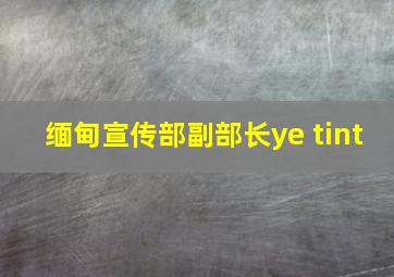 缅甸宣传部副部长ye tint